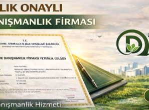 TMMOB Tescilli Jeoloji ve Çevre Mühendislik Hizmeti